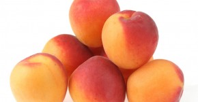 apricots